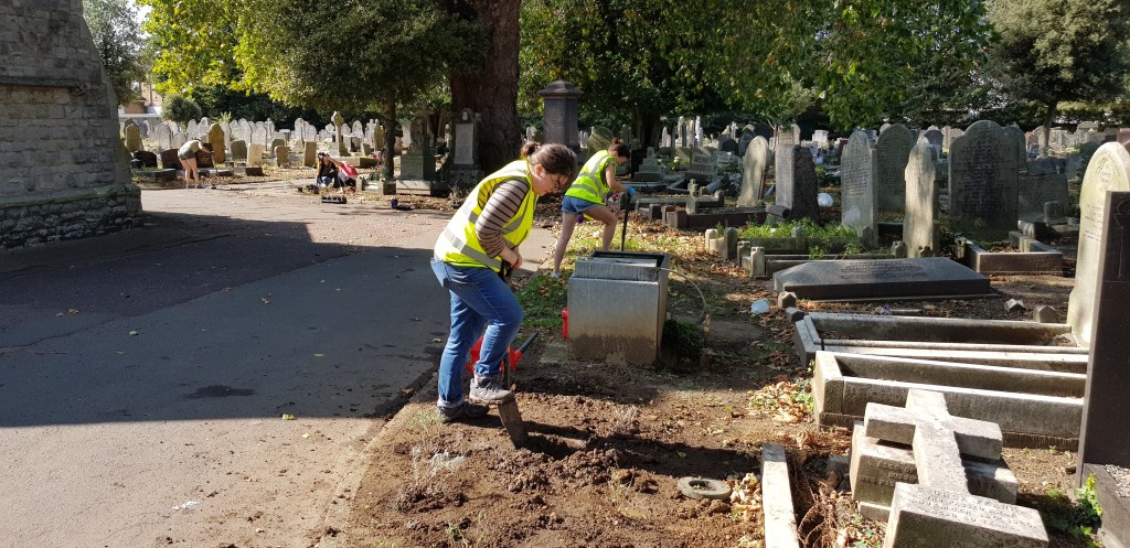 Bulb planting in cemetery